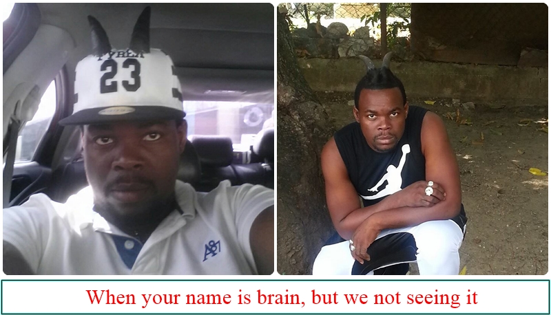 brain