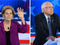 Elizabeth warren and Bernie Sanders